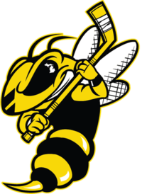 Battle Creek Rumble Bees