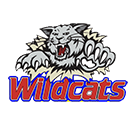 Benson County Wildcats