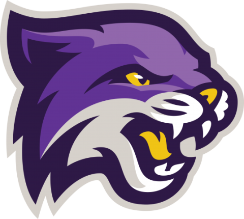 Bethel University Wildcats | MascotDB.com