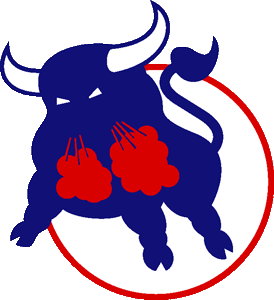 Birmingham Bulls