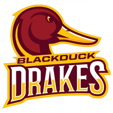 Blackduck Drakes