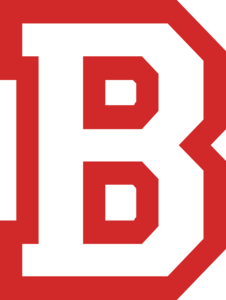 Briarfield Academy Rebels