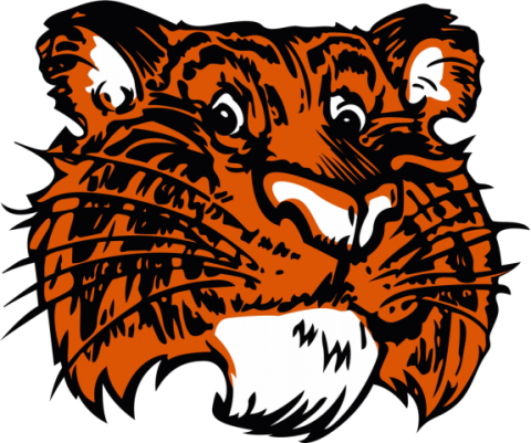 Browerville Tigers