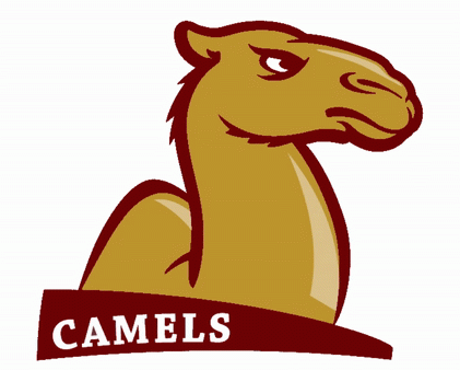 Atkins Camels