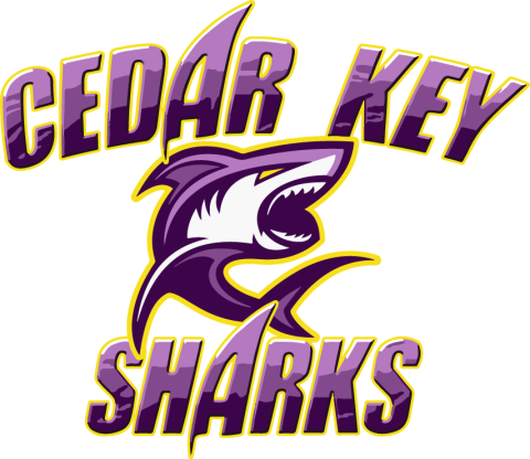 Cedar Key Sharks