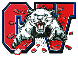 Cassadaga Valley Cougars