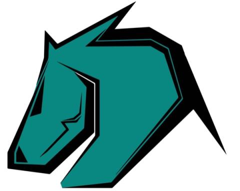 Discovery Charter Trailblazers