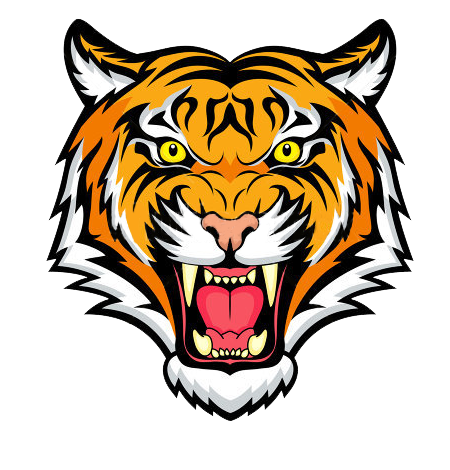 Douglass Academy Tigers