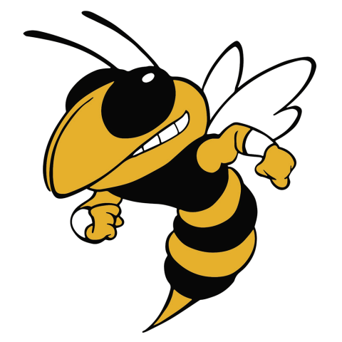 Enosburg Falls Hornets