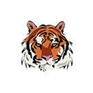 Fort Fairfield Tigers