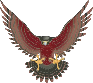 Freeport Falcons