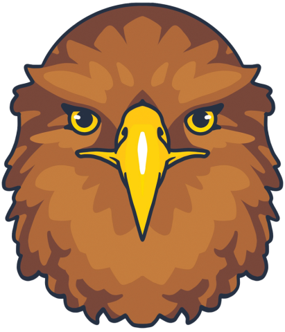 Galway Golden Eagles