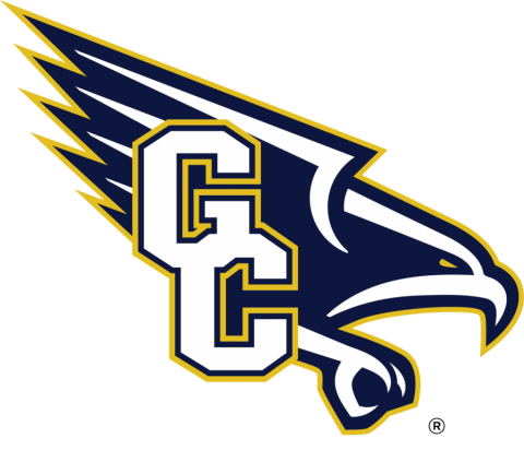 Our Lady of Good Counsel Falcons