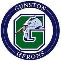 Gunston Day Herons