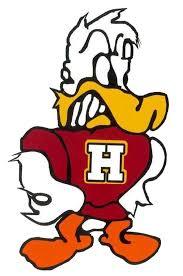 Havana Ducks