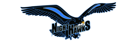 Hettinger Night Hawks