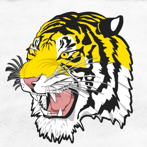 Hazelton-Moffit-Braddock Tigers