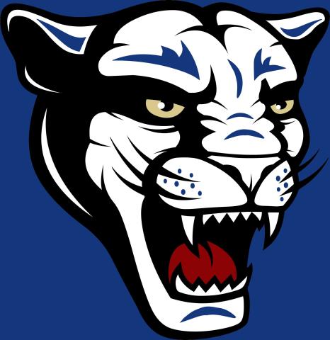 Houghton Academy Panthers