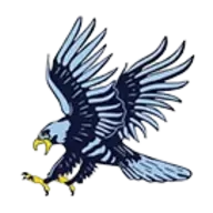 Hudson Blue Hawks