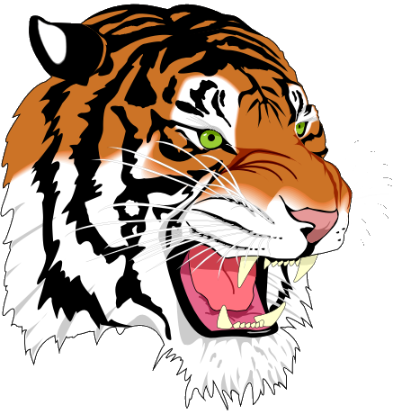 Hutsonville Tigers