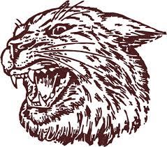 Johnson City Wildcats