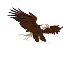Klukwan Eagles