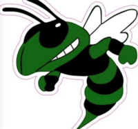 Lake Hornets