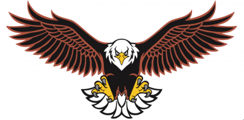 Liberty Eagles
