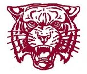 Livingston Manor Wildcats