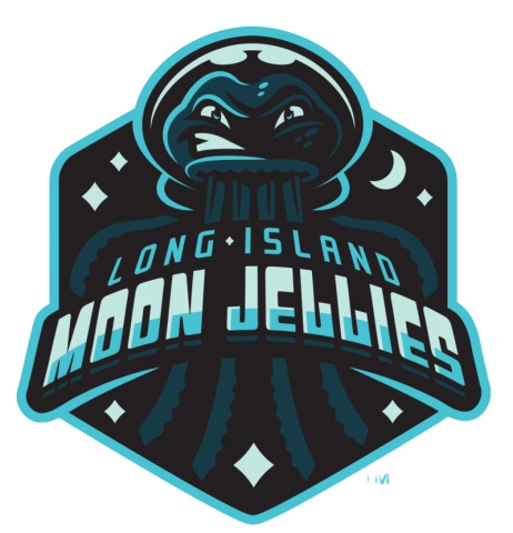 Long Island Moon Jellies