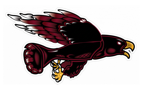 Lummi Nation Blackhawks