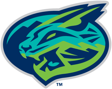 Lynchburg Hillcats