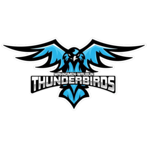 Mahnomen-Waubun Thunderbirds