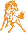 Meadowbrook Colts