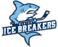 Mentor Ice Breakers