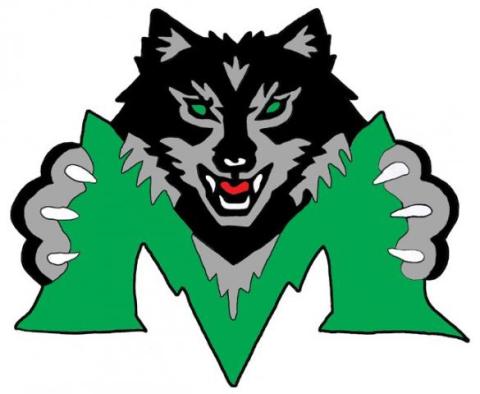 Midland Timberwolves