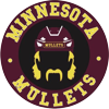 Minnesota Mullets