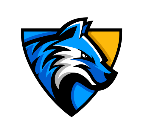 North Central Michigan College Timberwolves