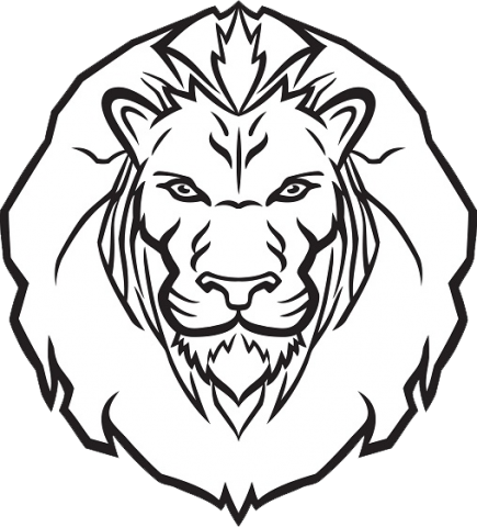 Newaygo Lions
