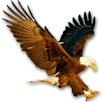 Newburg Eagles