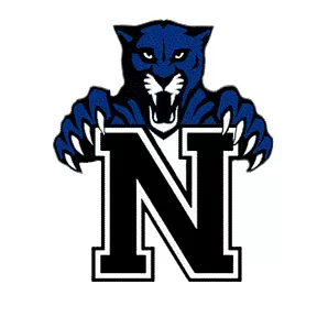 Newfane Panthers