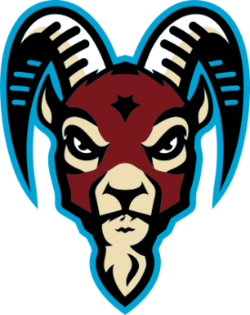 New Mexico Goatheads