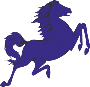 North River Mustangs