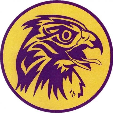 Rhinebeck Hawks