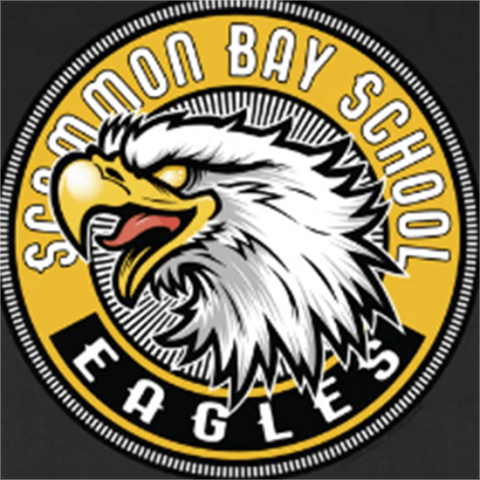 Scammon Bay Eagles