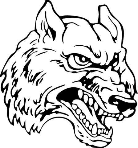 South Central Timberwolves