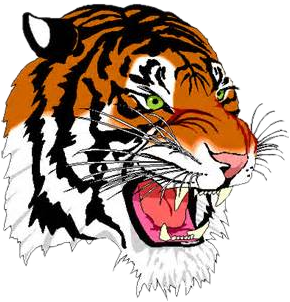 Shelby Tigers