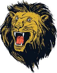 Shelby Golden Lions