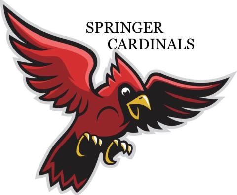 Springer Cardinals