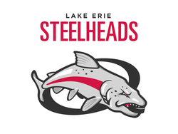 Lake Erie Steelheads
